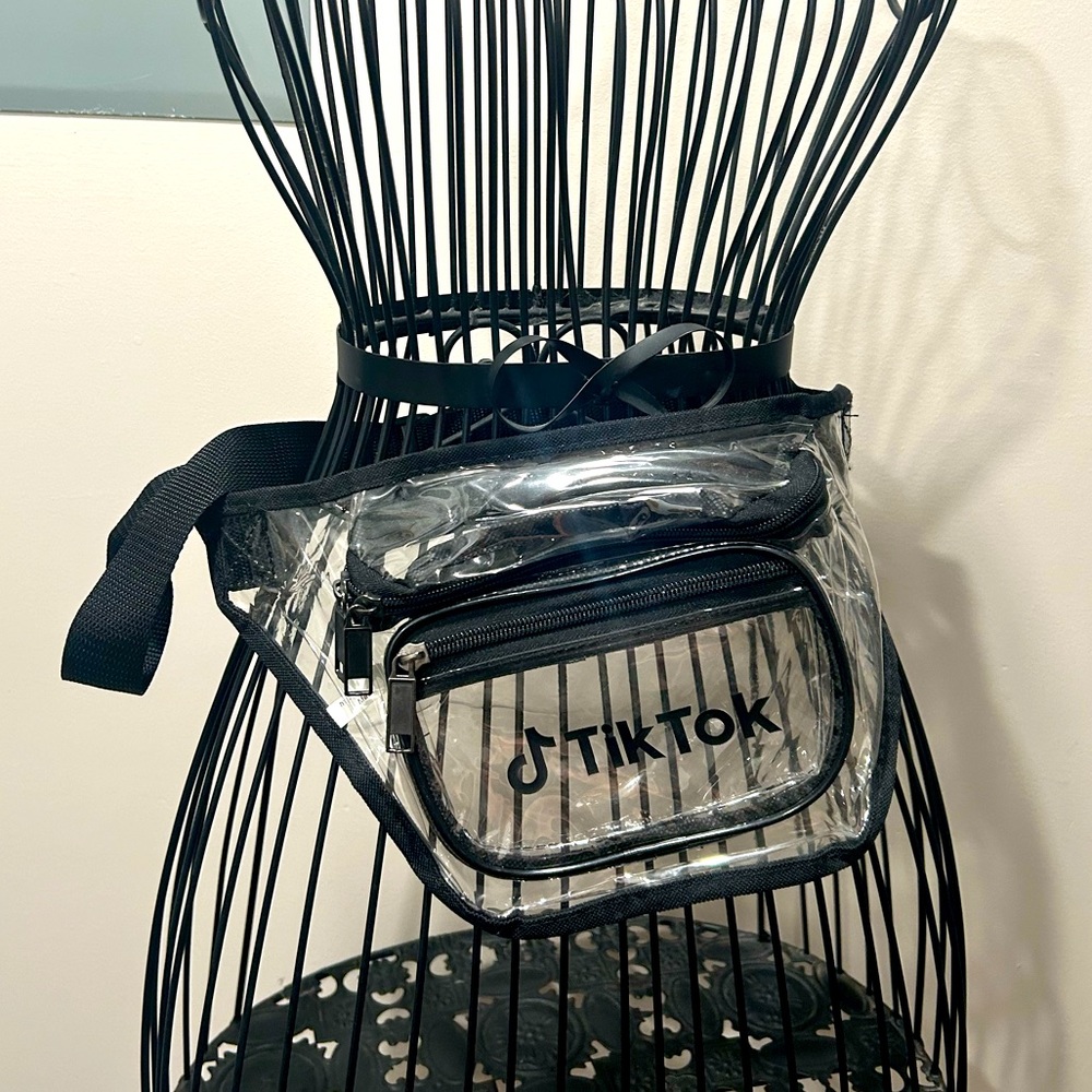 Clear Fanny Pack TikTok